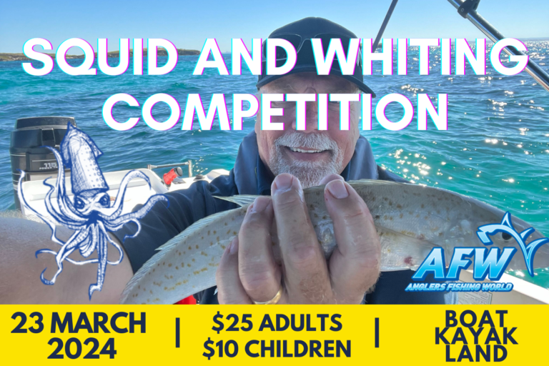 2024 squid and whiting competition